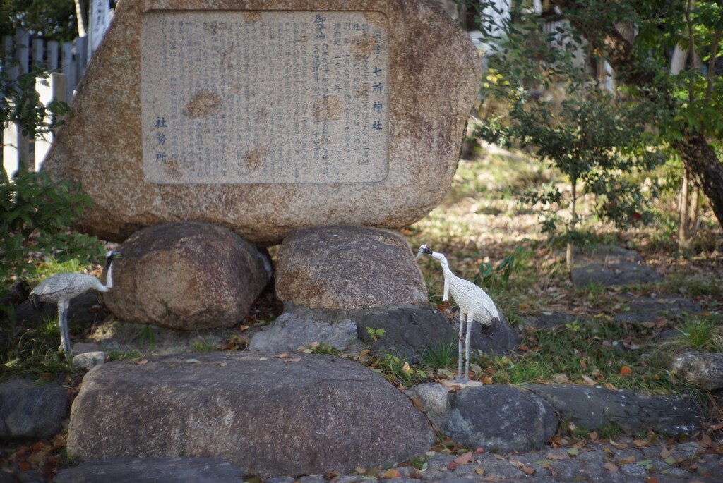 由来