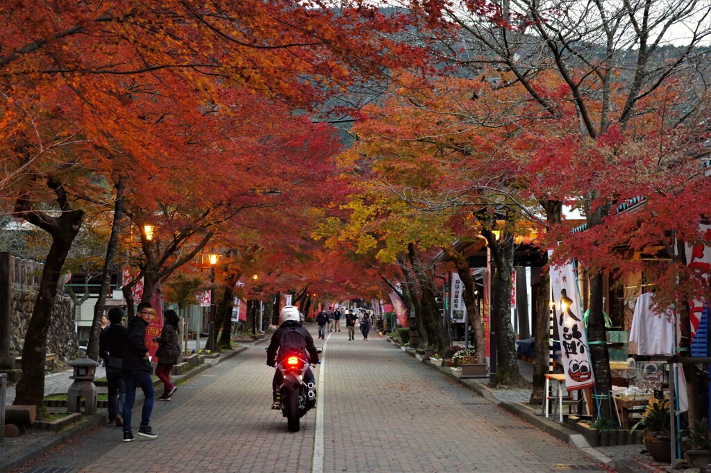 谷汲山参道