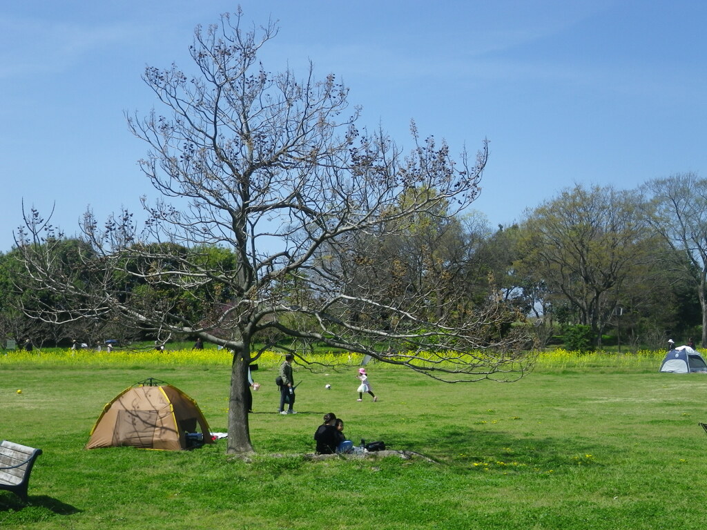 昼下がりの公園