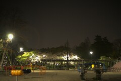 夜の公園