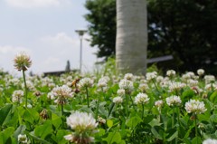 働いても、働いても・・・