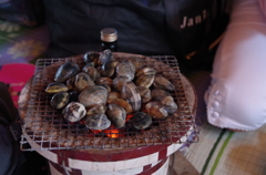 準備万端