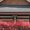 街のお寺さん