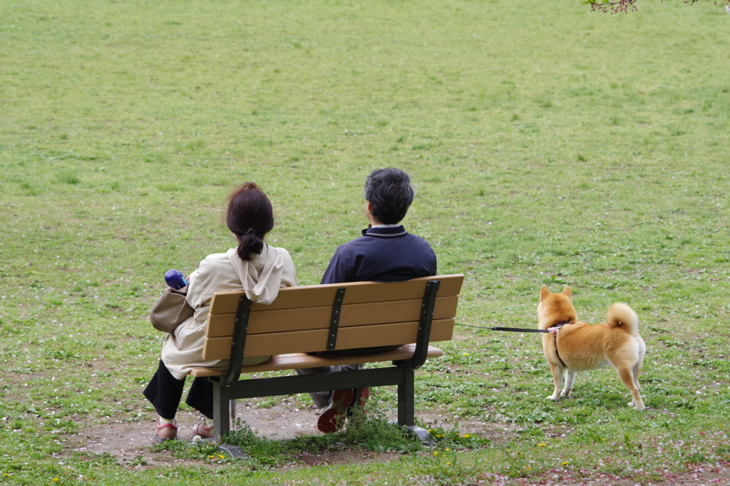 まったり