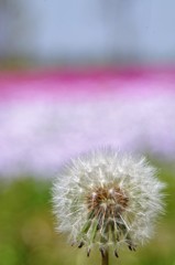 俺の季節は終わったのかぁ？