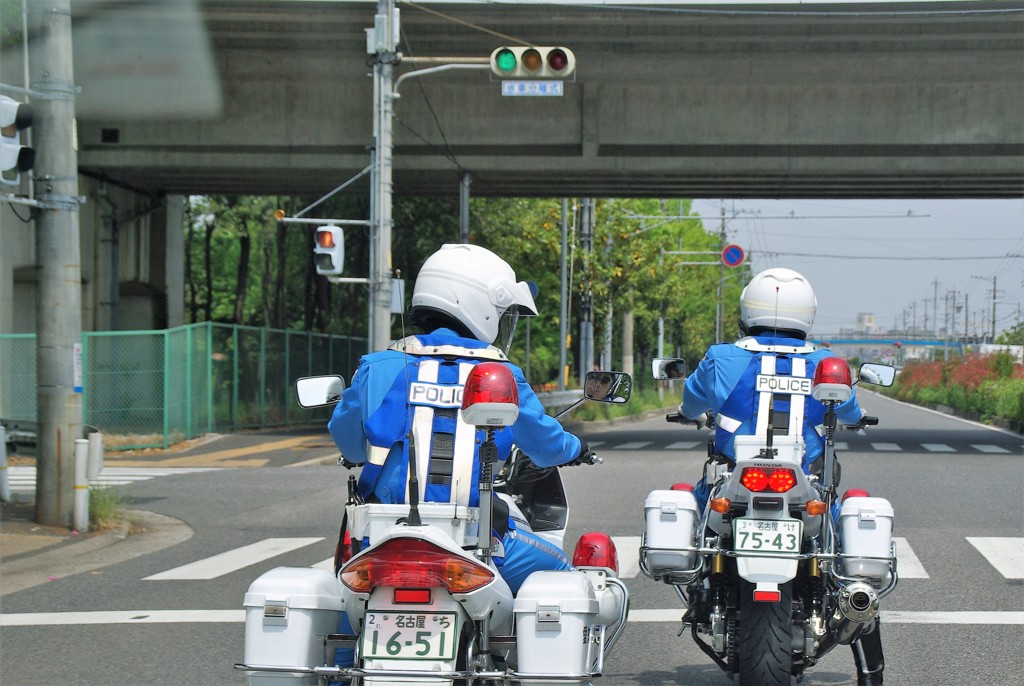 ヤバい目が合った！