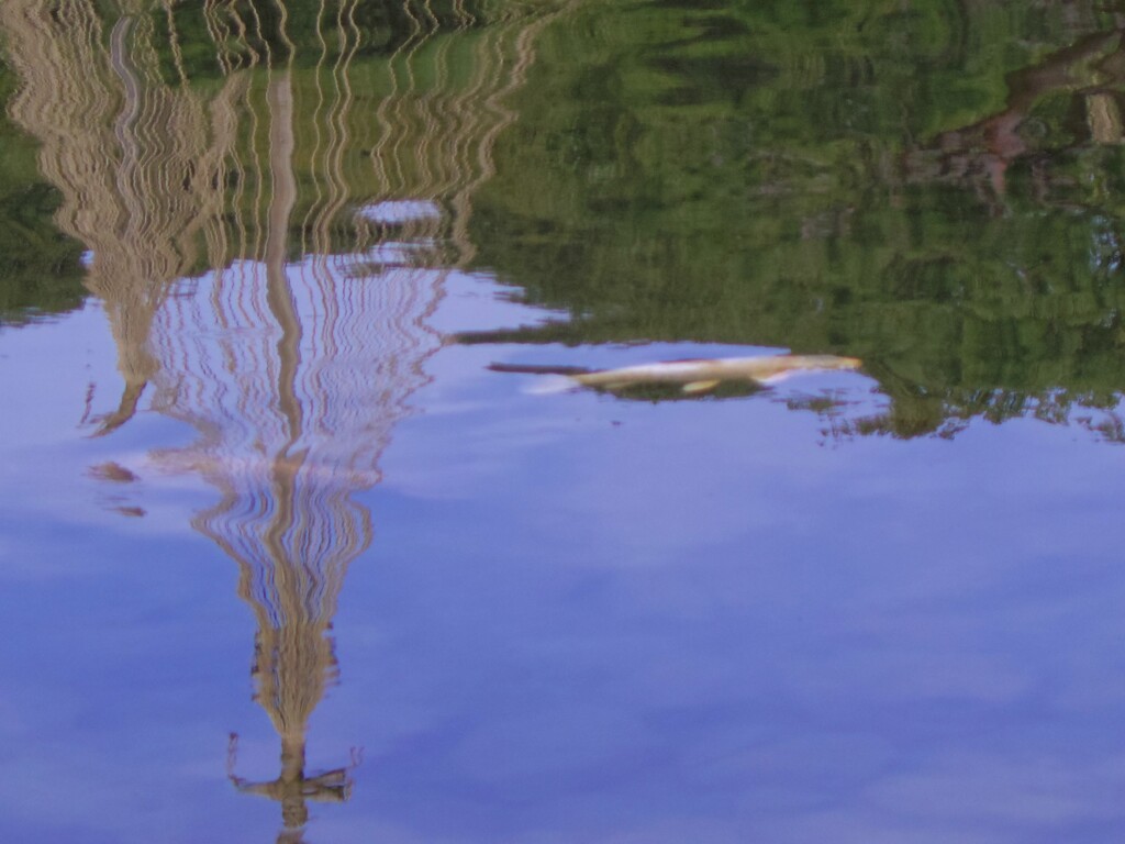 歪む