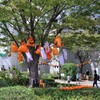 ハロウィン