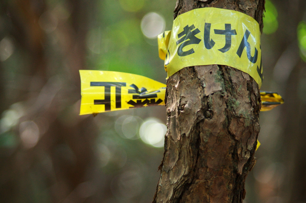 ここから先、命の保証はない