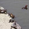もうちょい