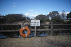 池