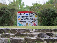 基本ルール