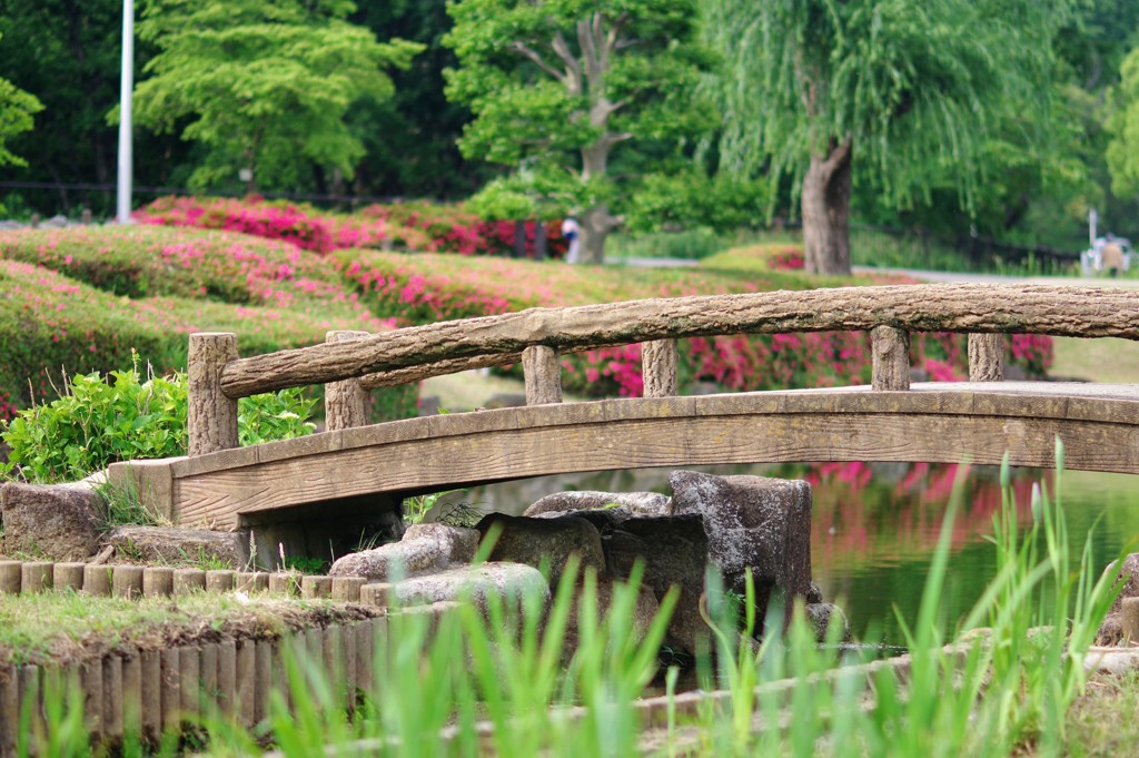 橋