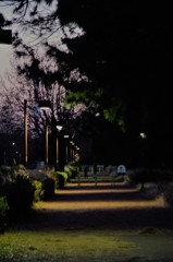 夜道