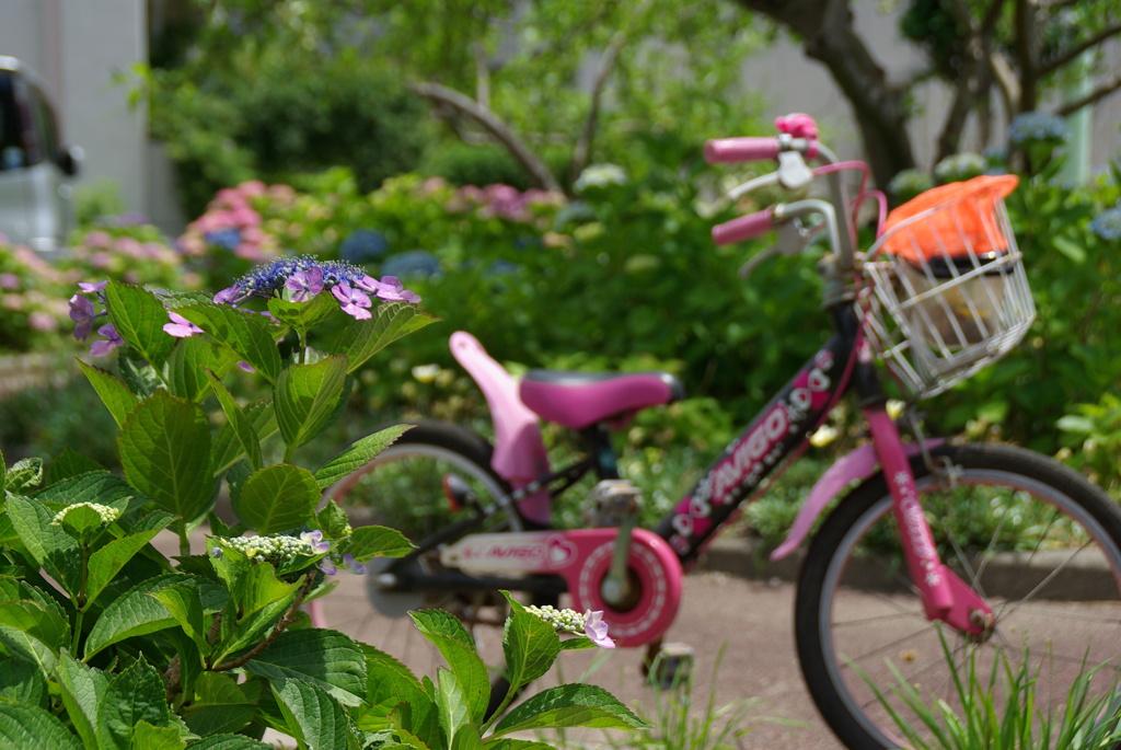 自転車