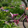 自転車