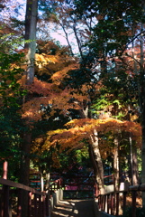 神社の裏側