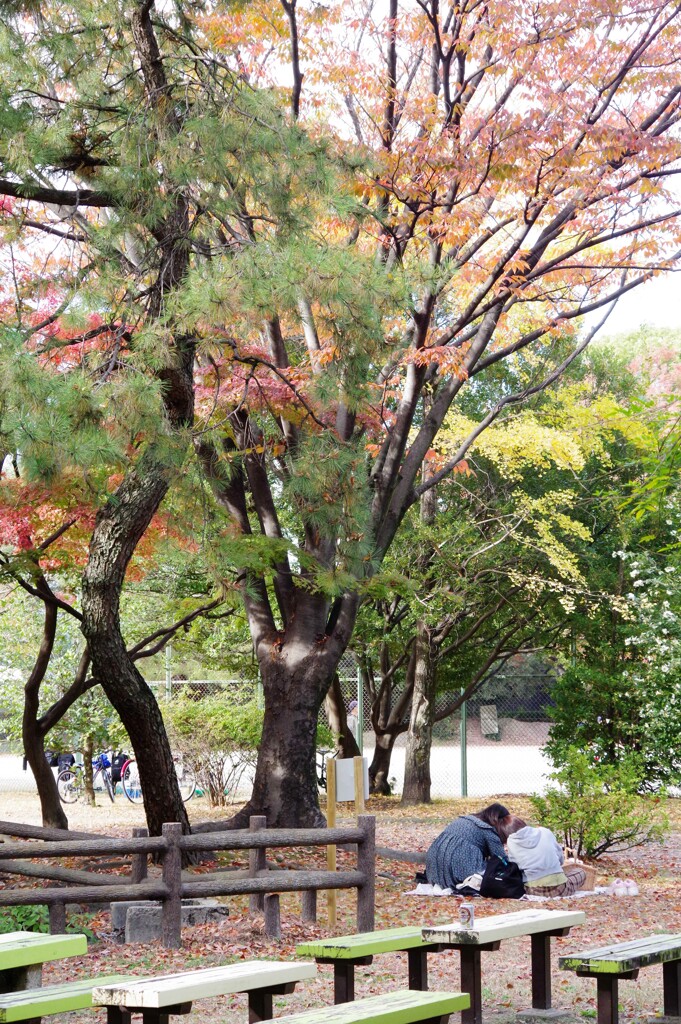 ご近所で紅葉狩り