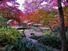 池の紅葉