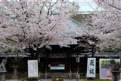 東照宮