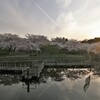 満開の夕日
