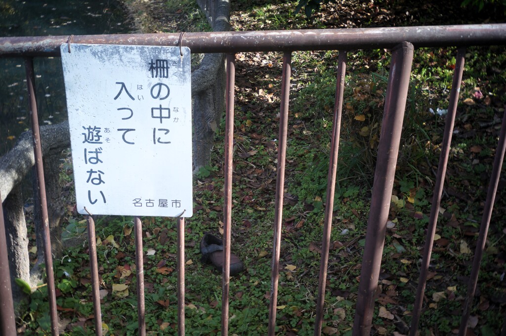 立ち入った結果