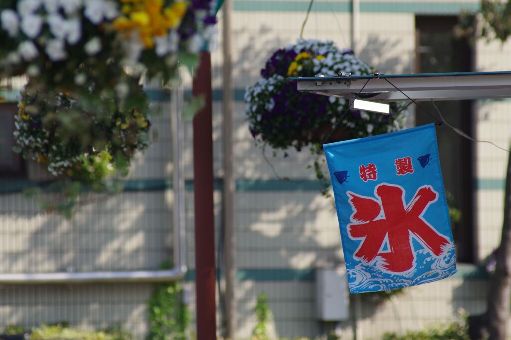 シーズン到来