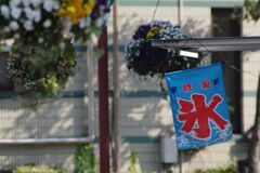 シーズン到来