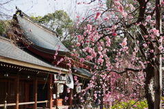 神社の境内