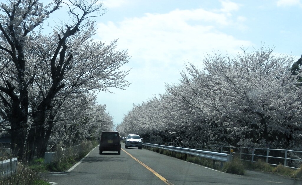 堤防道路