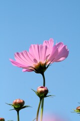 逆光