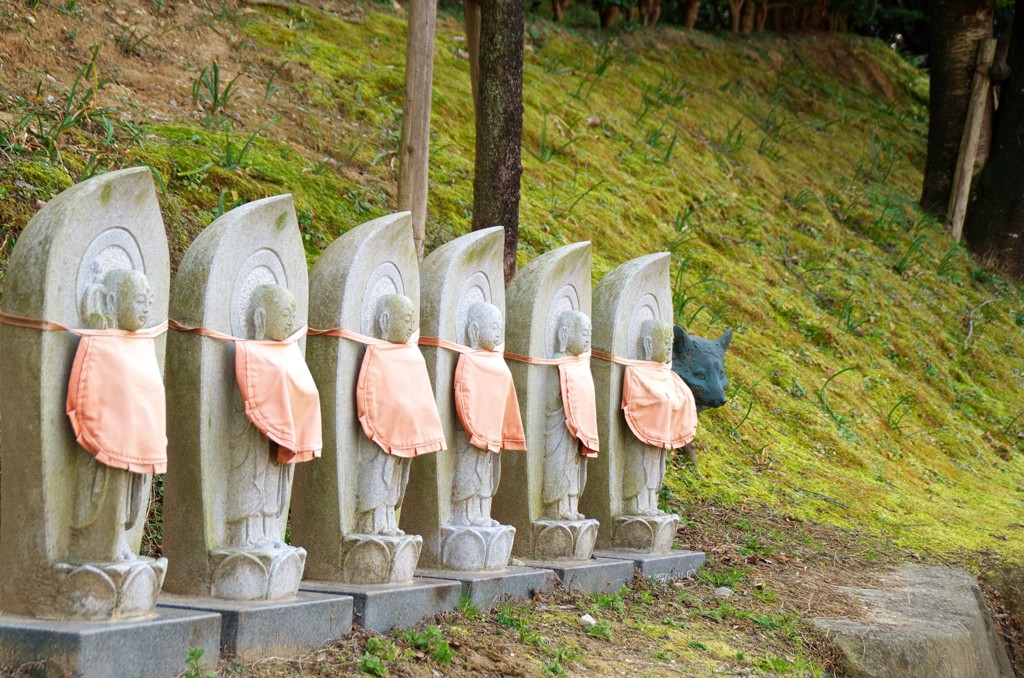 あれ?七地蔵?
