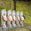 あれ?七地蔵?