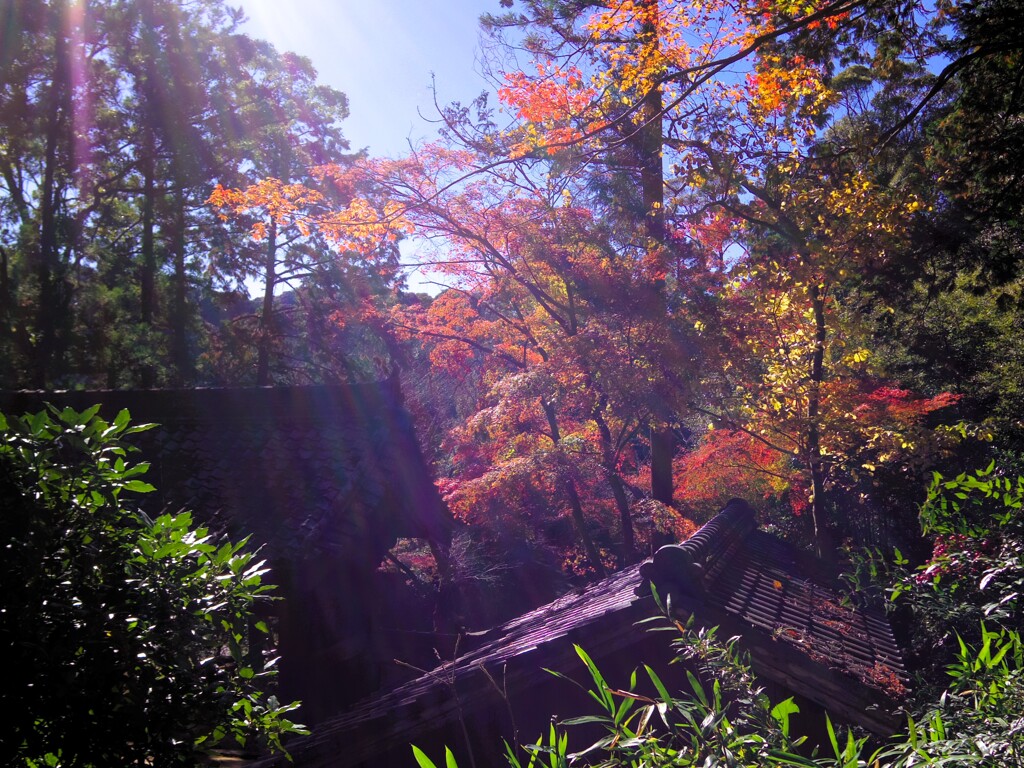 山寺