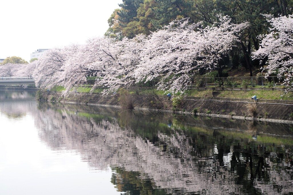 運河