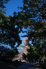 大仏