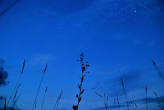 日没後の公園