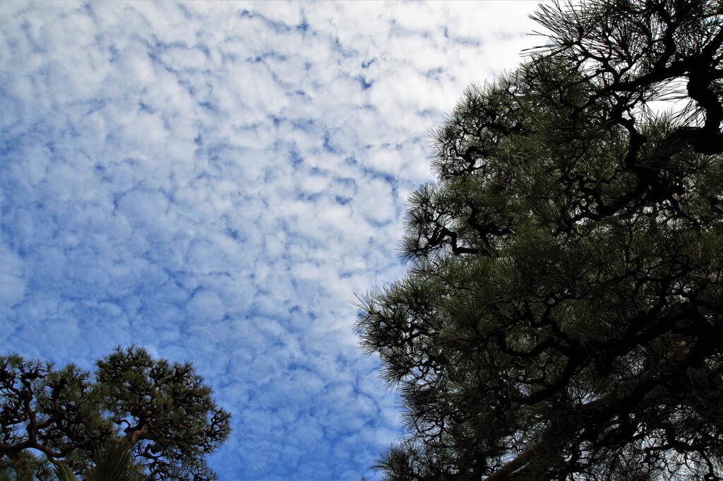 秋の空