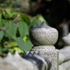 玉ねぎ