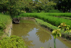 田舎