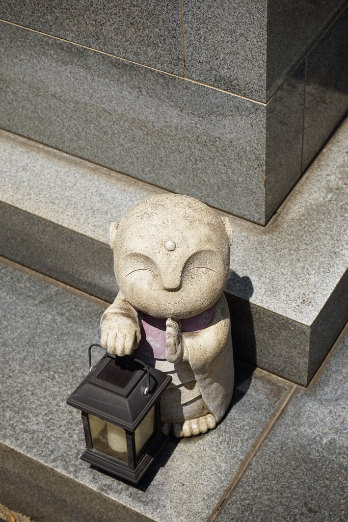 灯りをどうぞ
