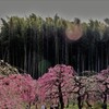 ゴースト
