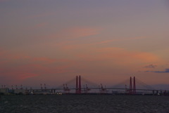 日没