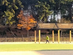 散歩