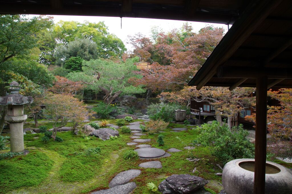 庭