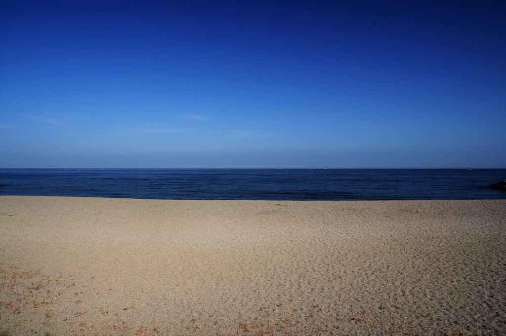 海