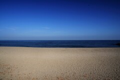 海