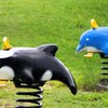 シャチとイルカの違い