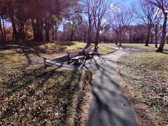 冬の公園