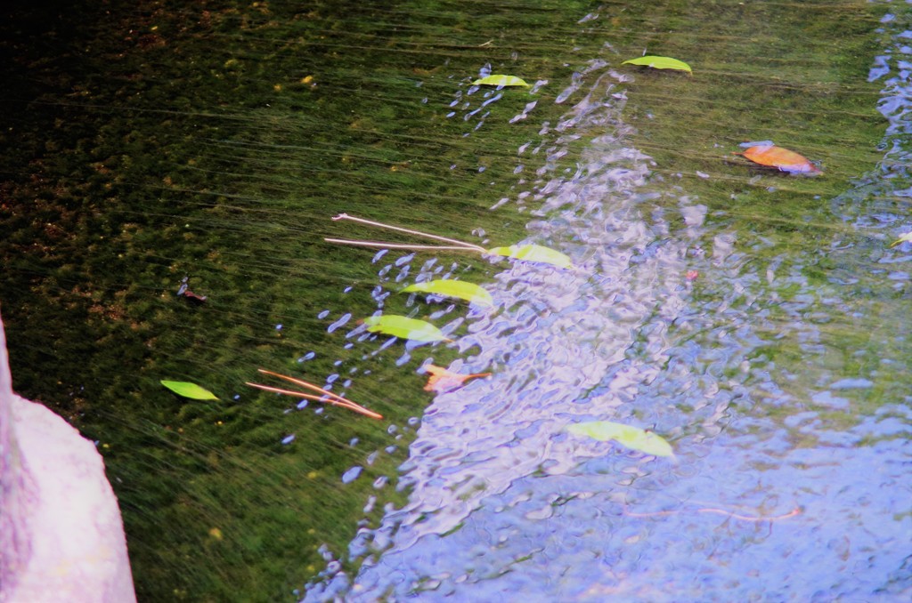 春の小川